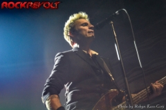 Green Day (12)