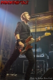 Green Day (5)