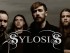 sylosis_940x400