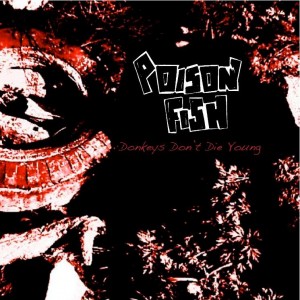 Donkey's Don't Die Young