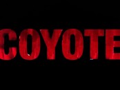 coyoto.logo2