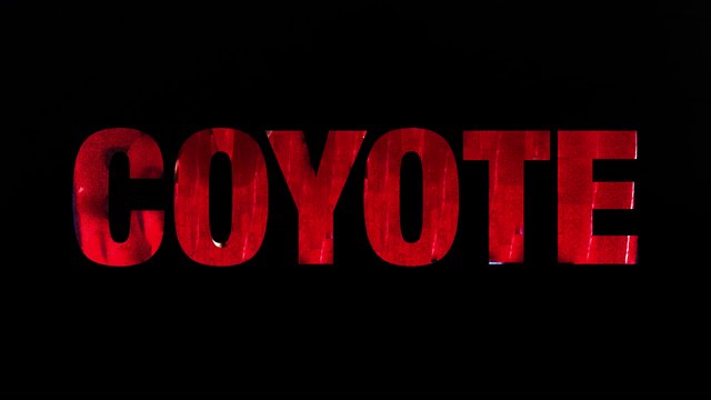 MOVIE REVIEW: COYOTE MOVIE REVIEW: COYOTE