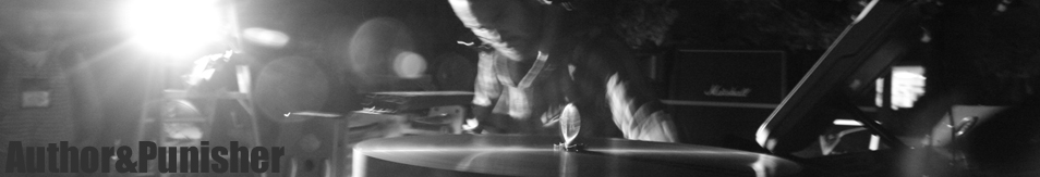 author and punisher - header - anp