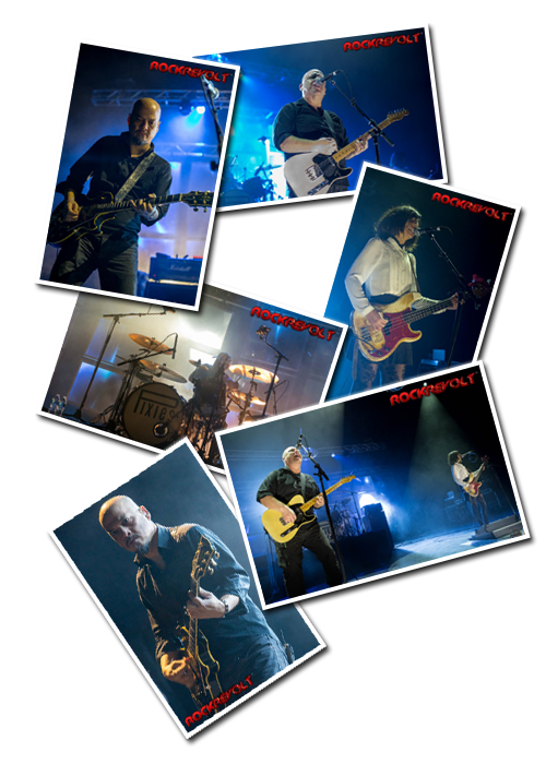 Click to view the PIXIES - LIVE PHOTO GALLERY!