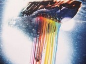 07 - RHCP - Monarchy of Roses