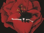 Smashing pumpkins - adore